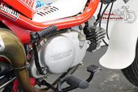 Yamaha Chappy / LB50 1994 70cc 1 cyl ts