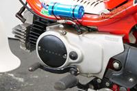 Yamaha Chappy / LB50 1994 70cc 1 cyl ts