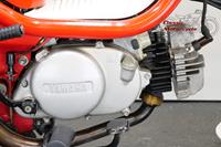 Yamaha Chappy / LB50 1994 70cc 1 cyl ts